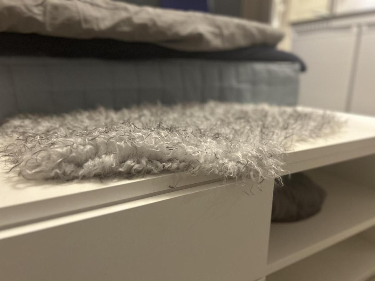 New Studio Apartment In Tromso - Aurora Hotspot المظهر الخارجي الصورة
